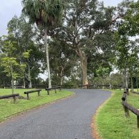 Up the hill to the Canon Garland Tree
