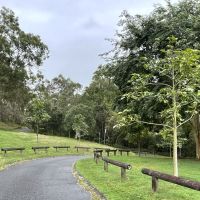 Down the hill ending at the Anzac Day Bottletree
