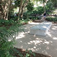 A Garden Of Tranquility