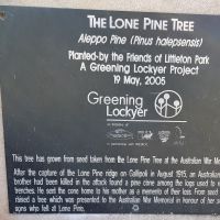 Lone Pine plaque (07/06/2025)