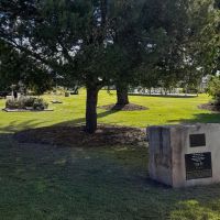 Lone Pine (07/06/2025)