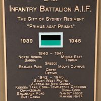 2/1st Infantry Battalion