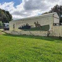 Murals in Waratah Park pay tribute to the men from the district who participated in the South Coast Waratahs recruiting march in late 1915