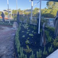 Memorial Garden planted out.