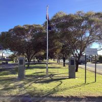 Pyramid Hill Avenue of Honour