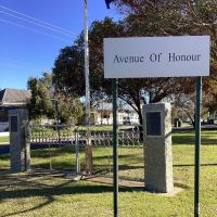 Pyramid Hill Avenue of Honour