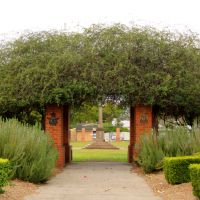 Grafton War Memorial Park Walkway to Memorial Column
