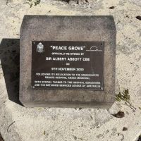 Plaque