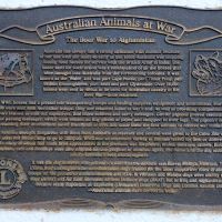 "Australian Animals at War" Commemorative Plaque on the Kingscliff War Memorial Walkway