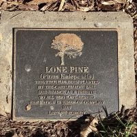 Lone Pine, To All Who Served