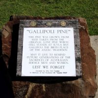 Evans Head Gallipoli Lone Pine Tree Interpretative Plaque
