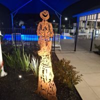 Night transforms the garden