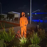 Night transforms the garden 
