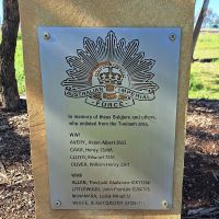 Toobeah War Memorial - Photo #1