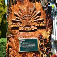Carved tree