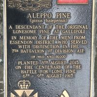 Lone Pine Plaque