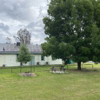 Replacement Claret Ash