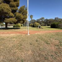 Lest We Forget paving