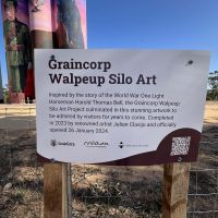 Walpeup Silo Art