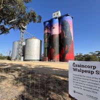 Walpeup Silo Art