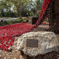 Kingsbury Garden view