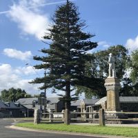 Mortlake Peace Tree