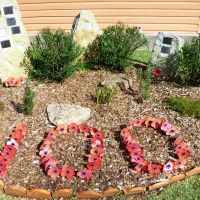 Tomerong Public School Anzac Memorial Garden