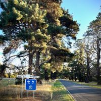 Amphitheatre Anzac Avenue in the late afternoon