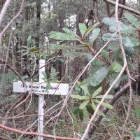 Boxer Rebellion (14/02/2026)