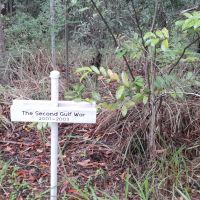 The Second Gulf War (14/02/2026)