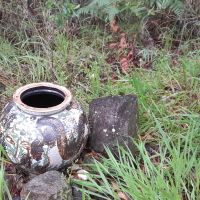 Pot (14/02/2026)