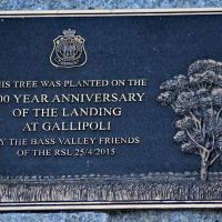Plaque