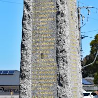 Gallipoli List
