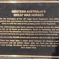 Western Australia's Great War Horses