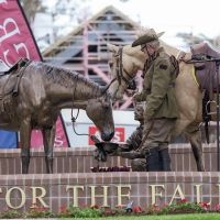 Horse and soldier - bronze sculpture - commemorates 132 TSS Old Boys killed in conflict since 1915