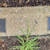 Individual Name Memorial Plaques