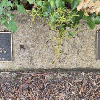 Individual Name Memorial Plaques