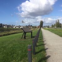 Avenue of Trees