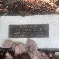Plaque at the foot of the tree featured