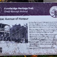 plaque