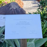 Remembrance Walkway 3