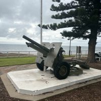 25 pound filed gun
