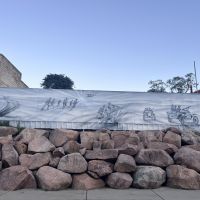 Shows development of Light Horse
