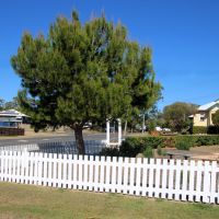 Mount Larcom Anzac Memorial Park and Lone Pine Commemorative Pine