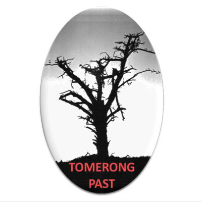 Profile picture for user tomerongpast